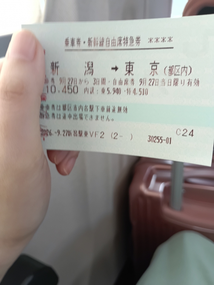 一条 葵