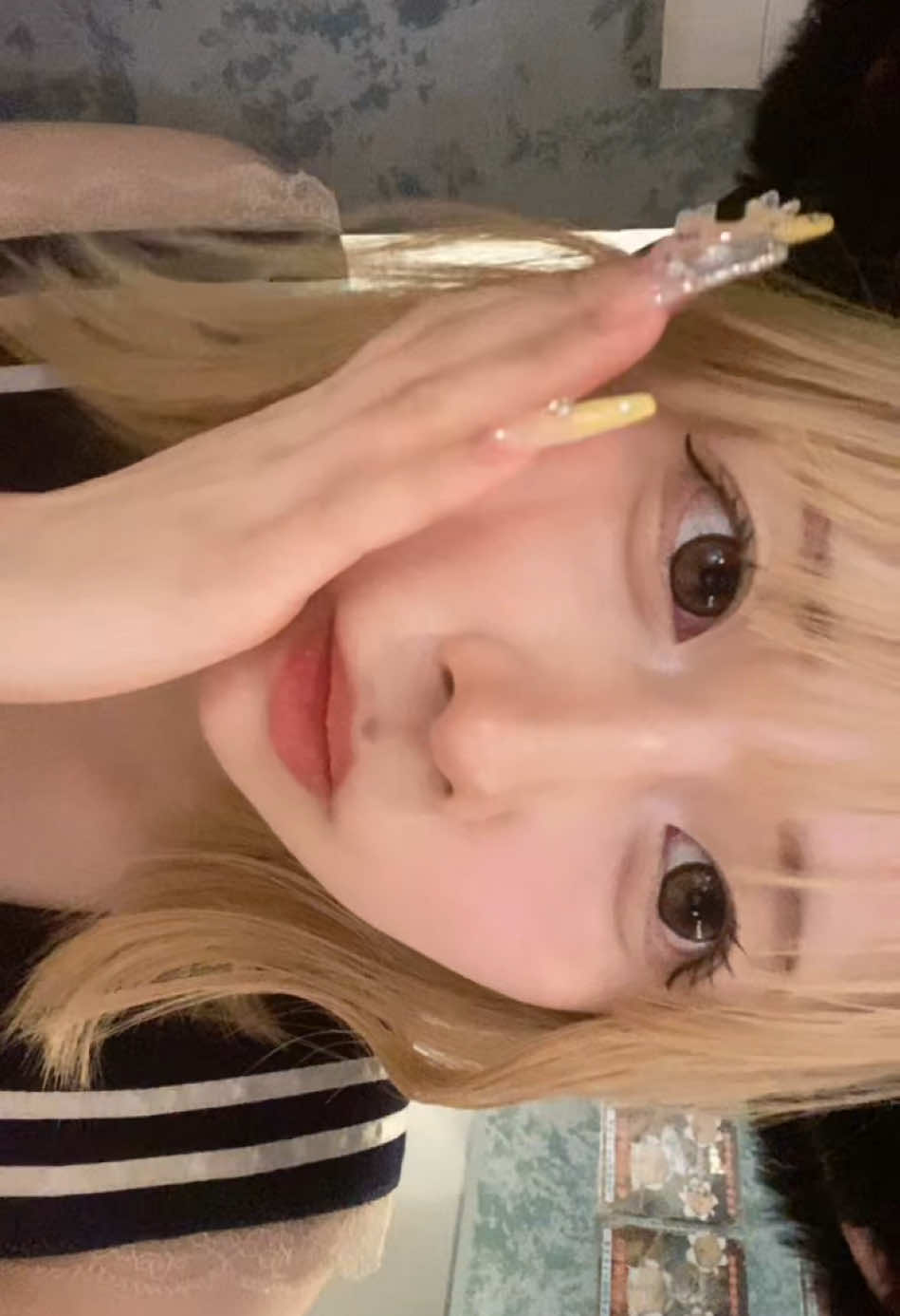 にゃんパラ ～にゃんこパラダイス～ ホットニュース 192940