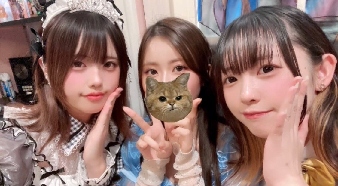 ARCHE CASTLE ホットニュース 193606