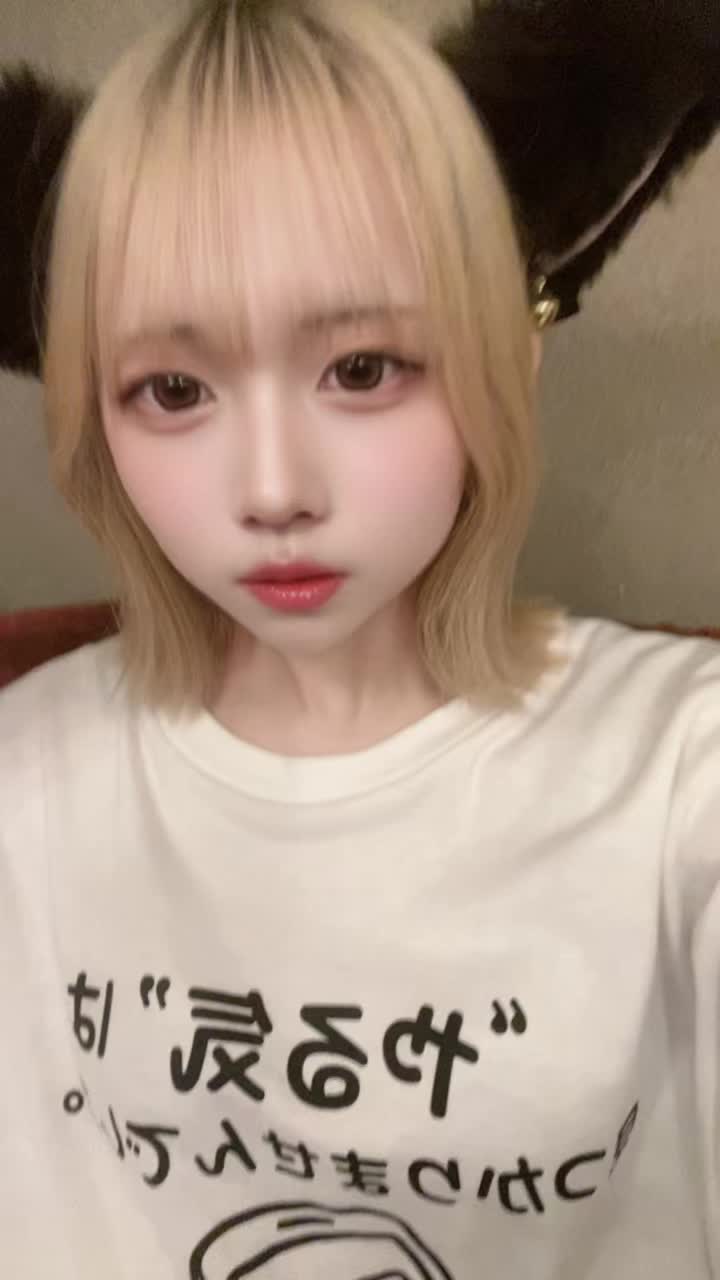 にゃんパラ ～にゃんこパラダイス～ ホットニュース 194644