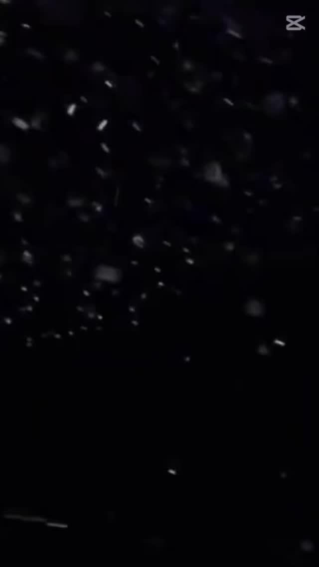 Farao ホットニュース 194801