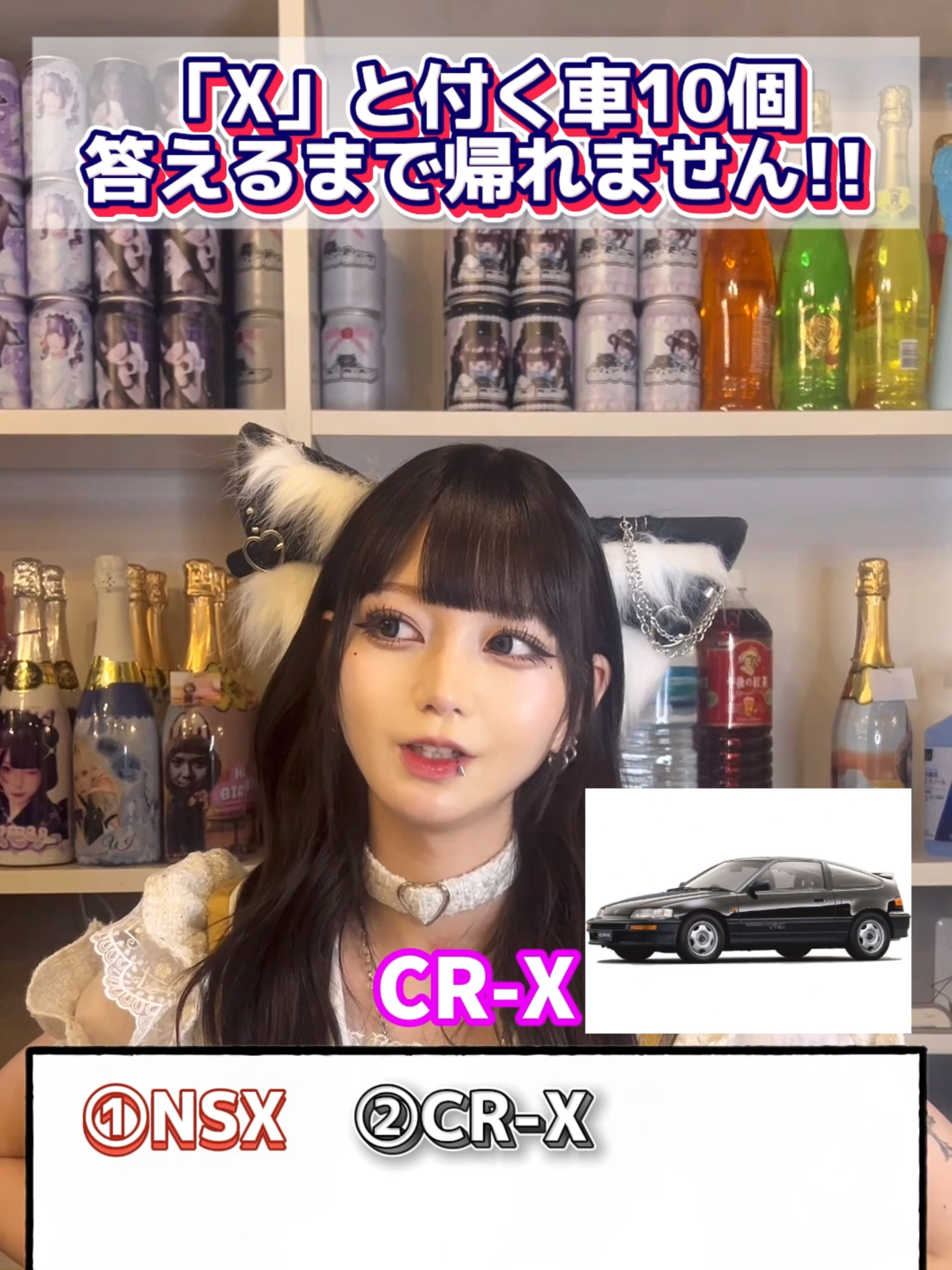 あんど&ねこ ホットニュース 195464