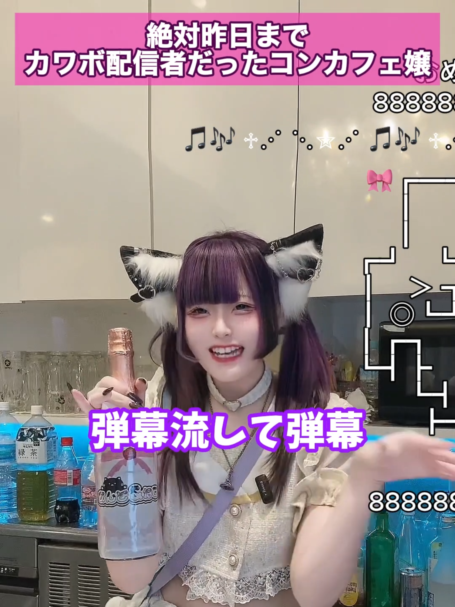 あんど&ねこ ホットニュース 195465