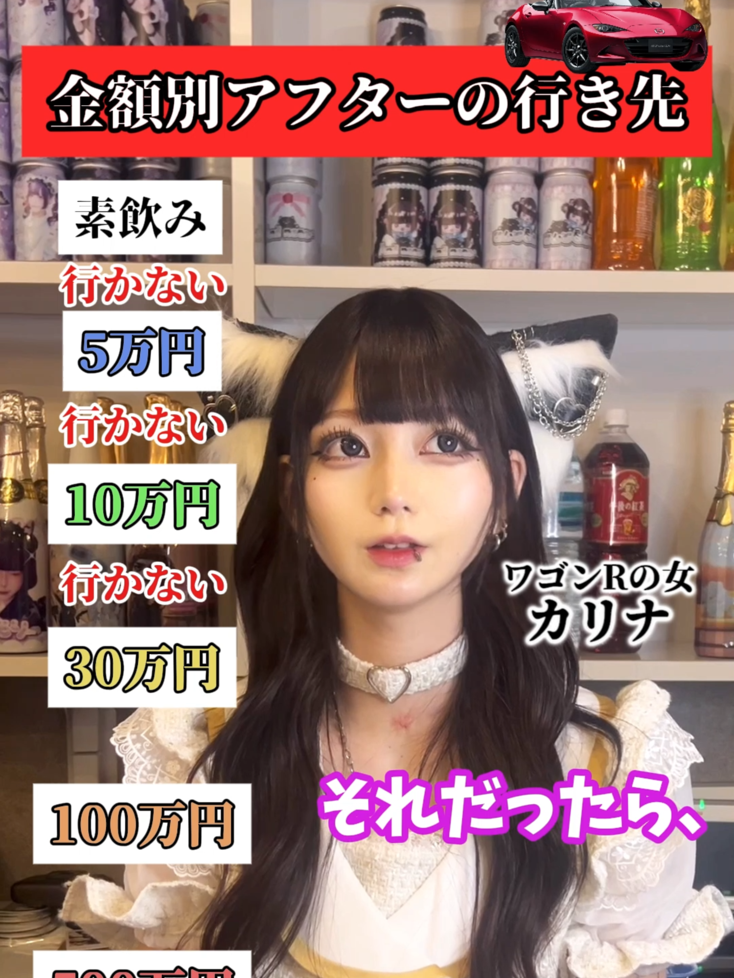 あんど&ねこ ホットニュース 195466