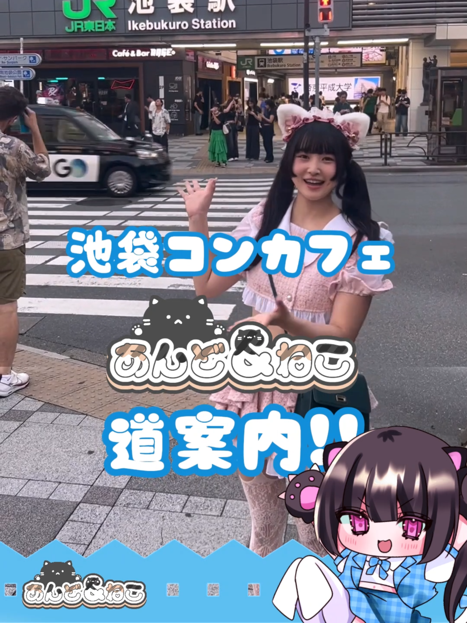 あんど&ねこ ホットニュース 195669