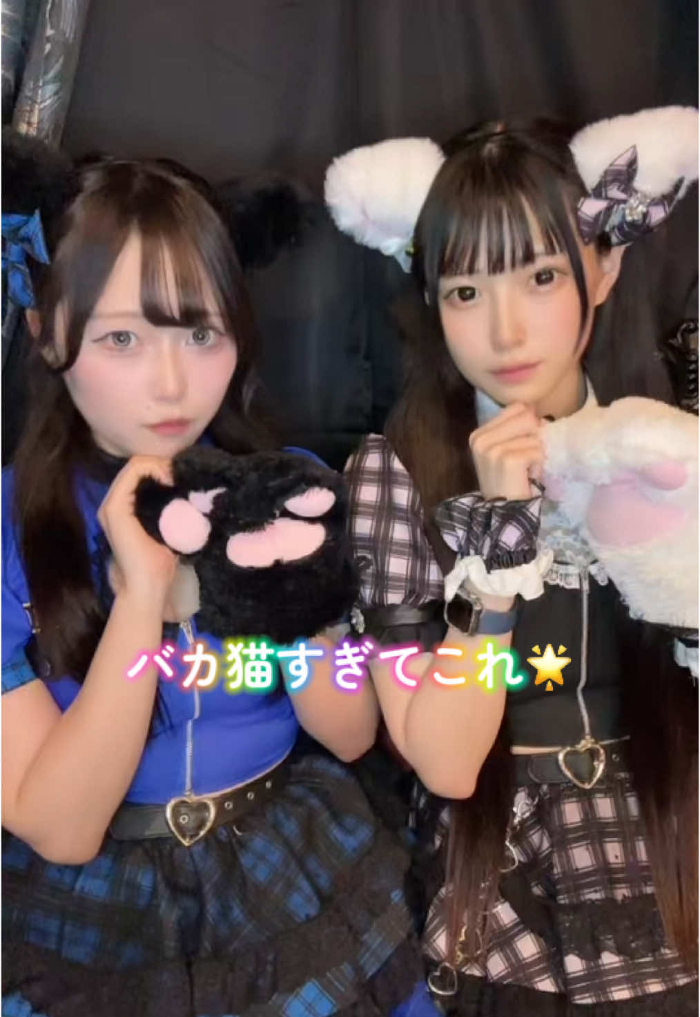 ぷりしーにゃ ホットニュース 195716