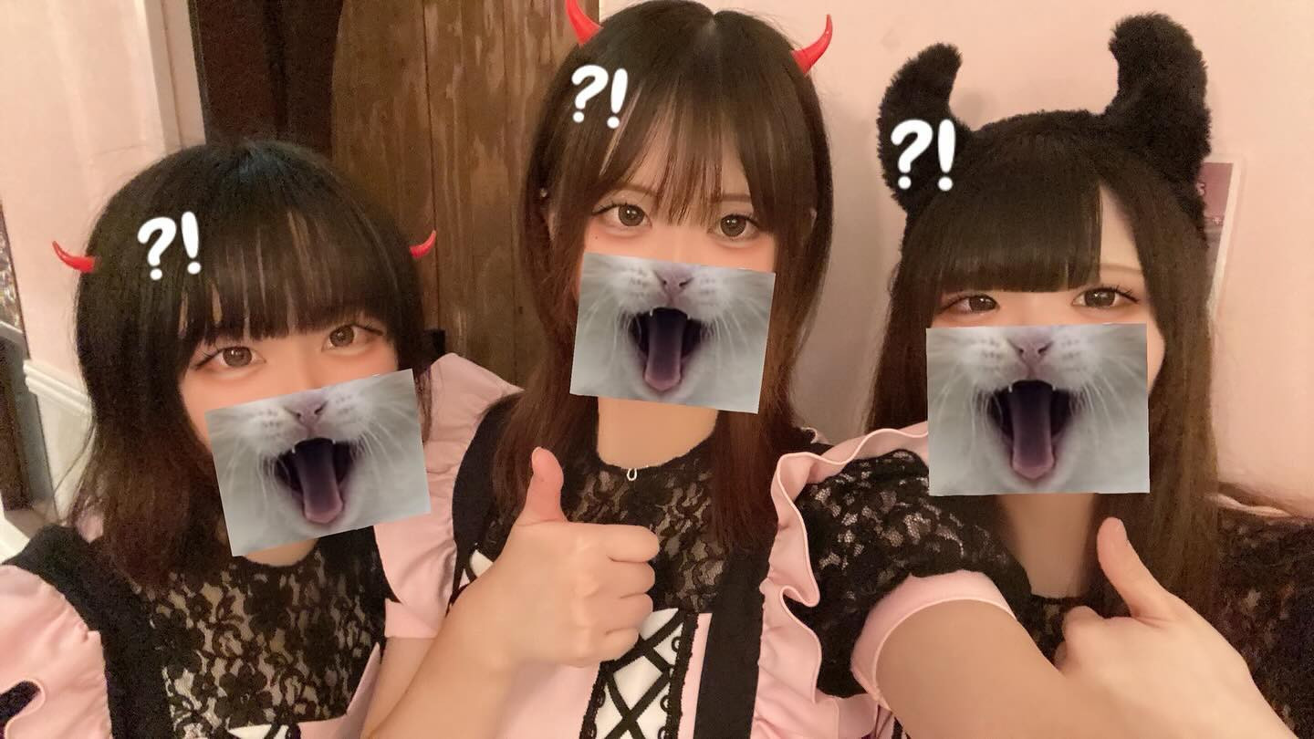 ARCHE CASTLE ホットニュース 195871