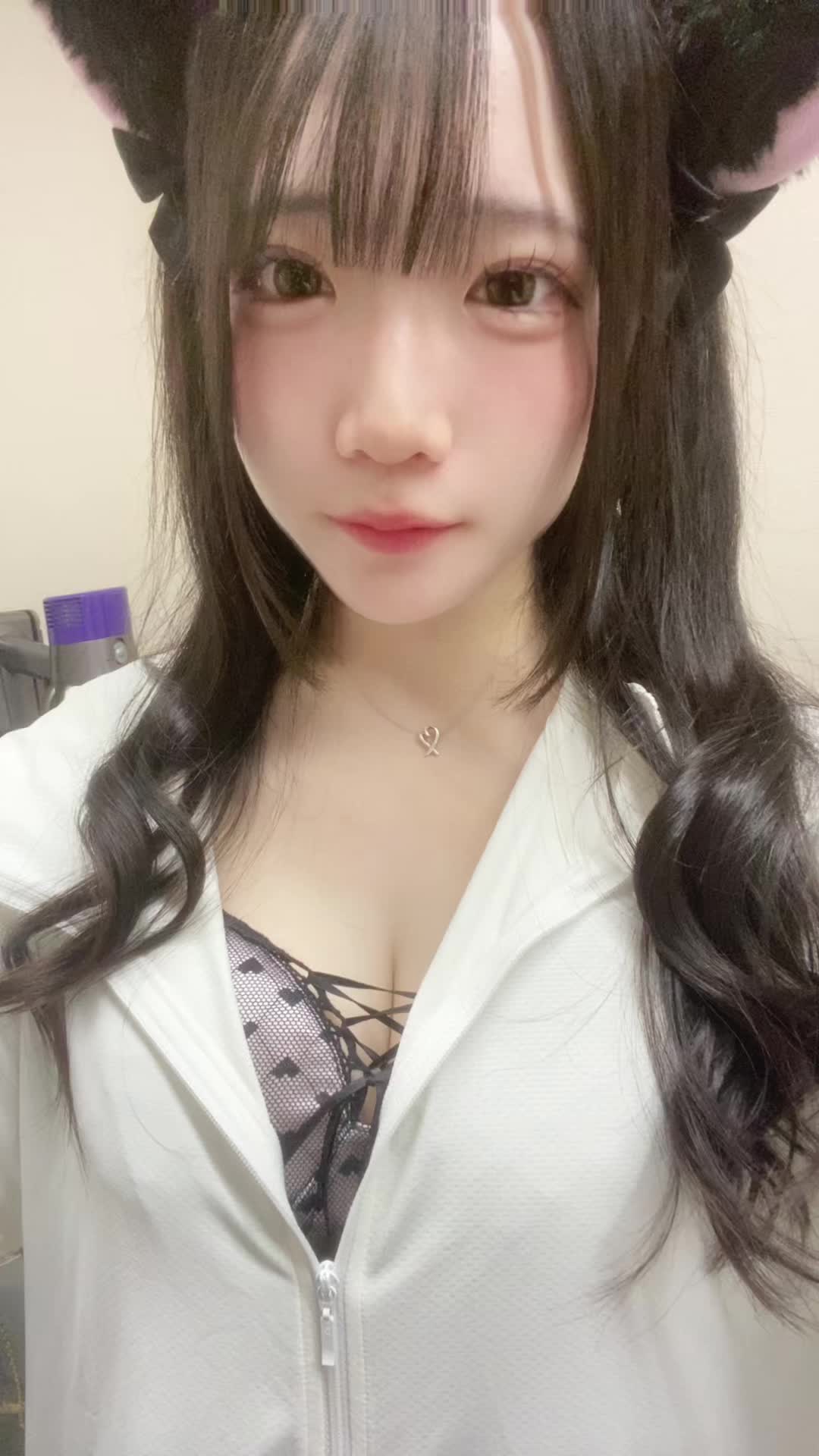 にゃんパラ ～にゃんこパラダイス～ ホットニュース 196661