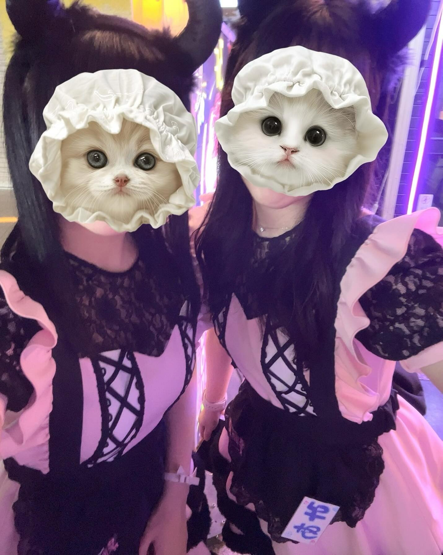 ARCHE CASTLE ホットニュース 196774