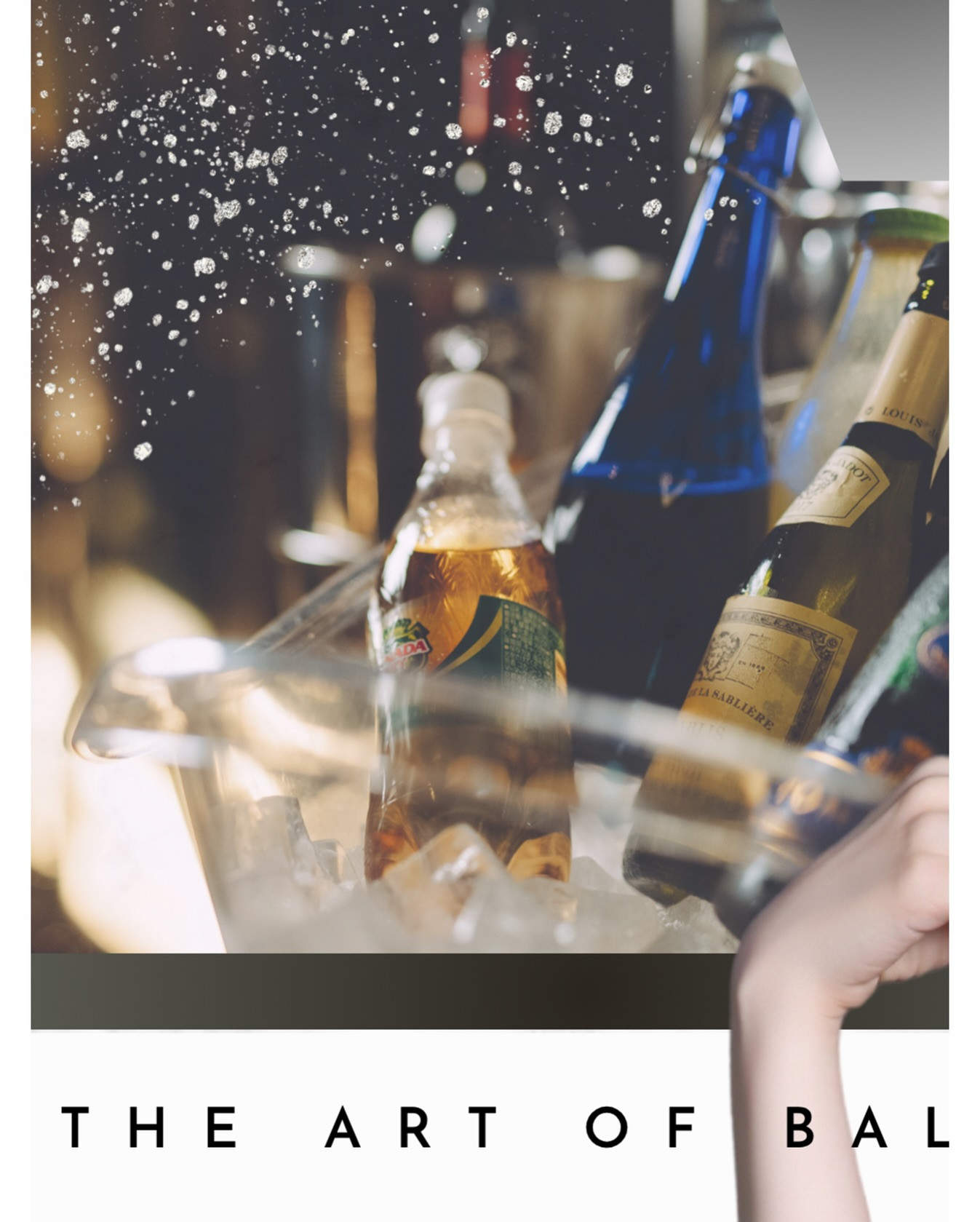 SoloMON ホットニュース 197995