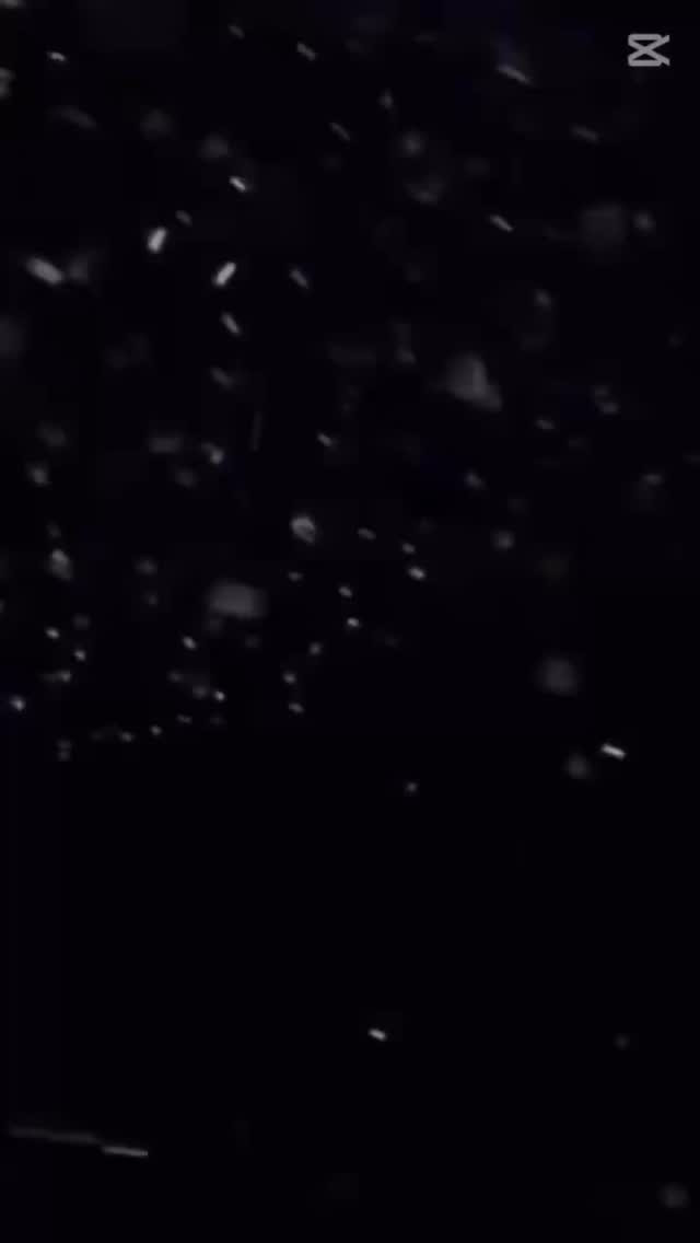 Farao ホットニュース 198494