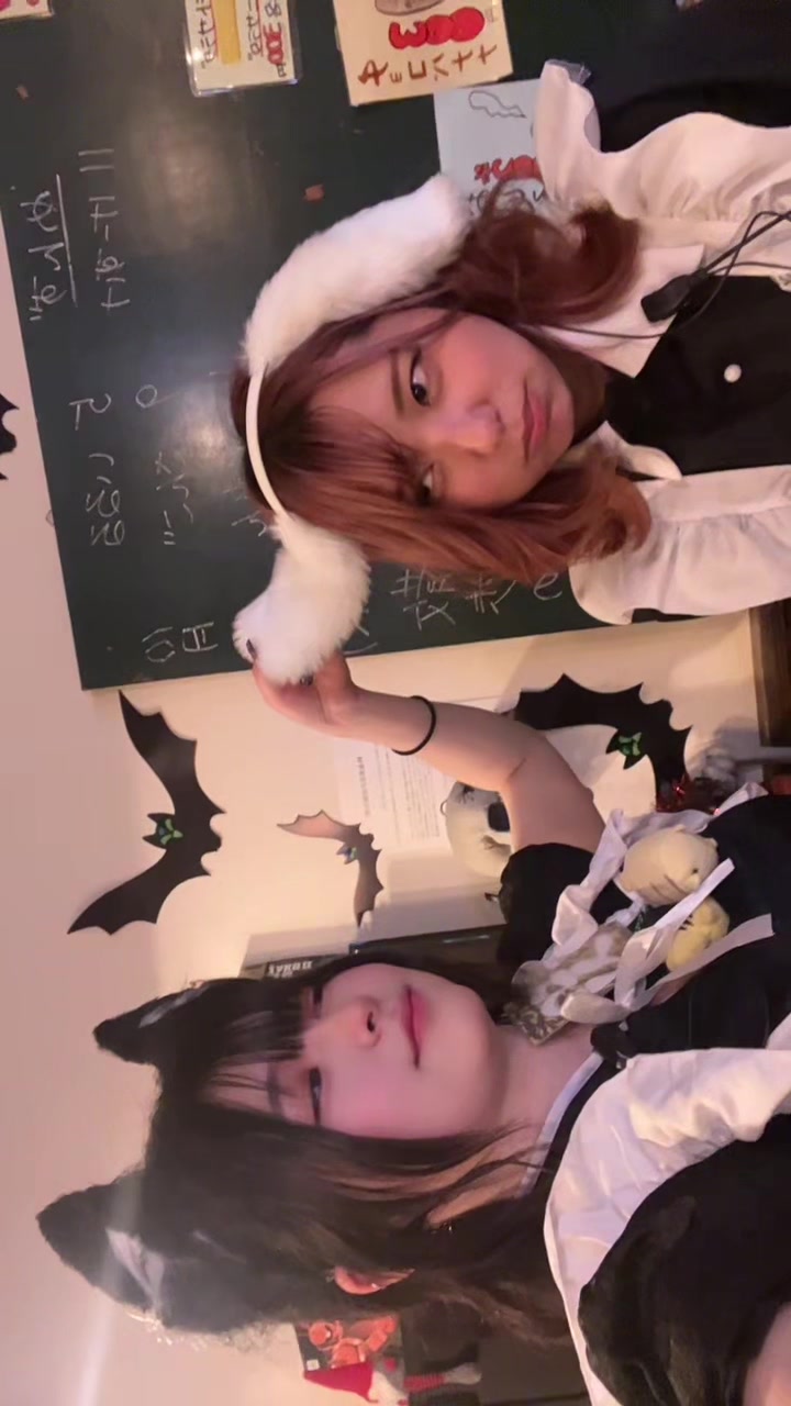 Concept BAR Revolution ホットニュース 199577