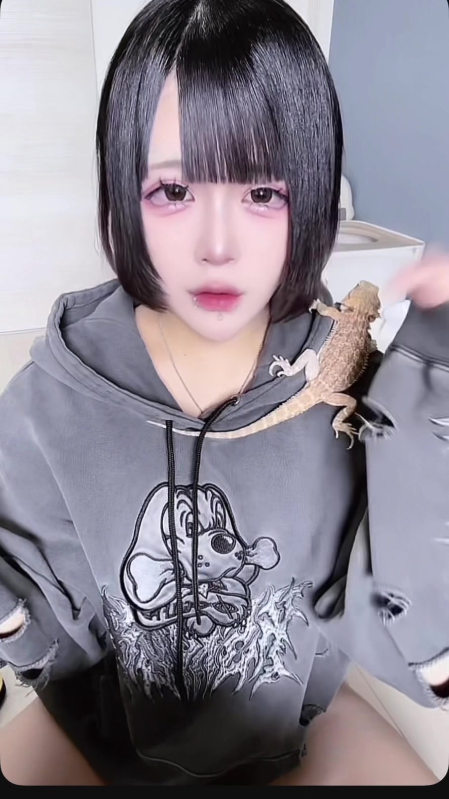 にゃんぽめこ♡