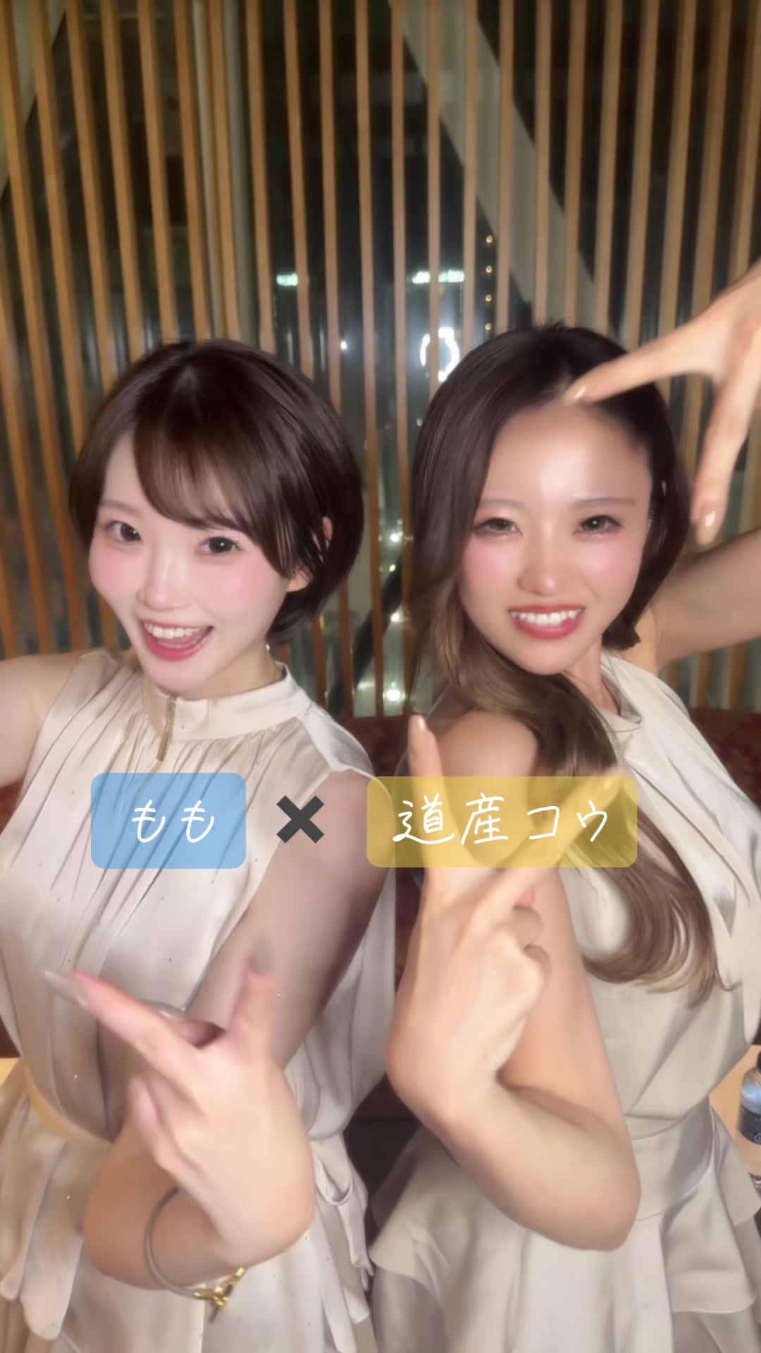 一条 葵