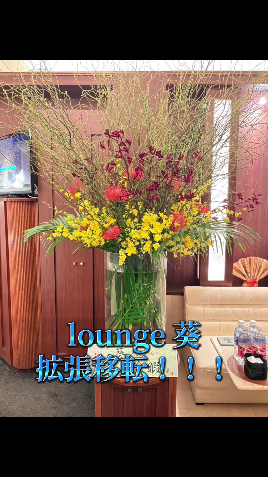 LOUNGE 葵 ホットニュース 201524
