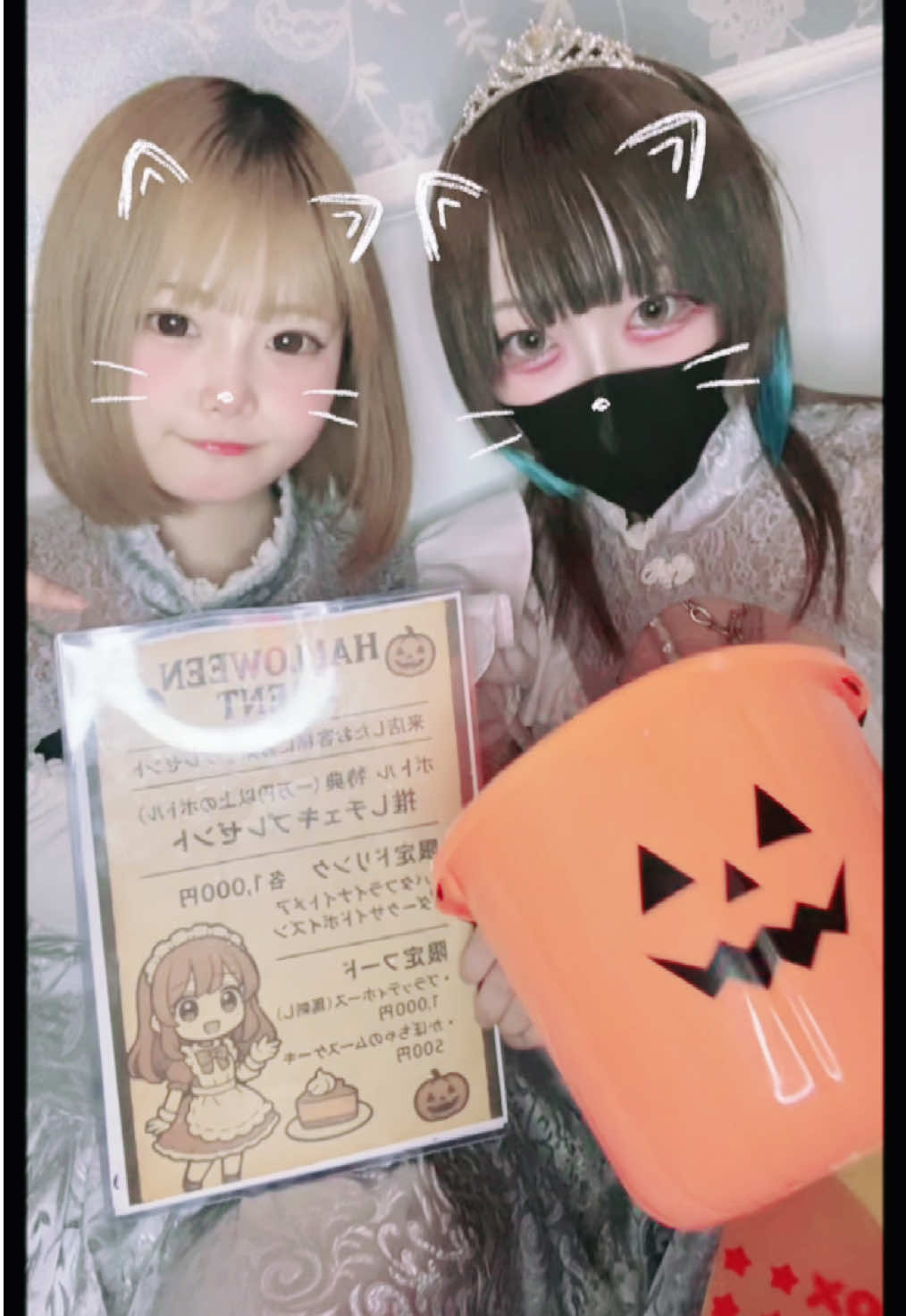 Orlaya ホットニュース 202403