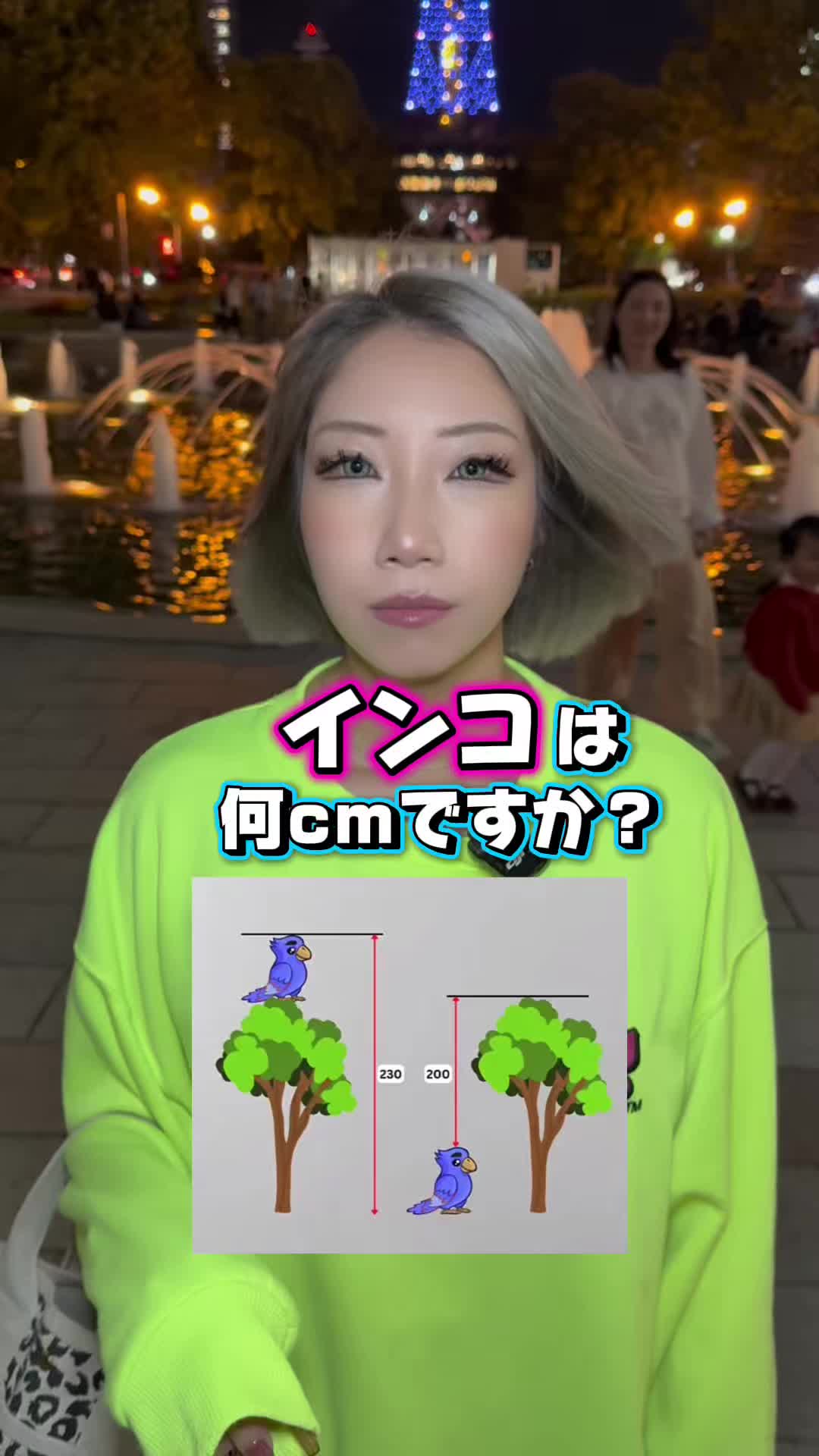 Cafe＆Bar Kitty ホットニュース 202565