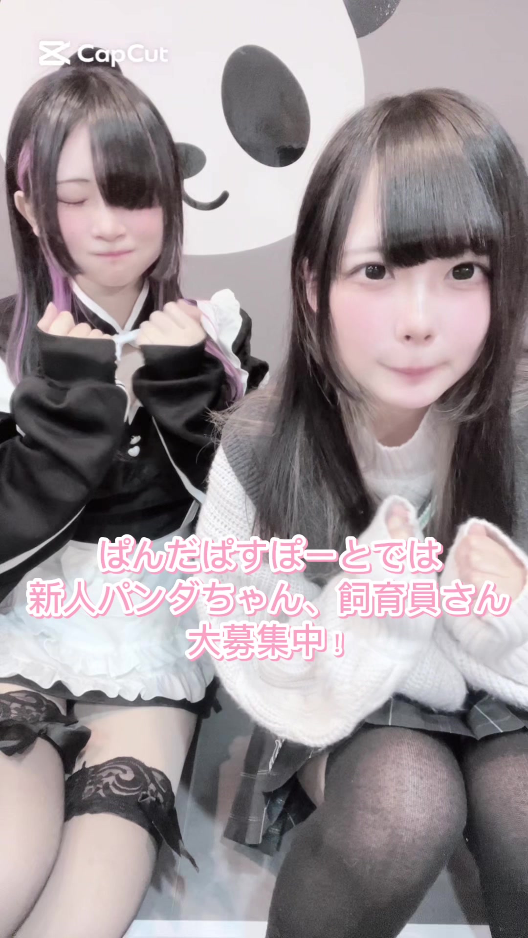 メイドカフェRA ぱんだぱすぽーと ホットニュース 202728