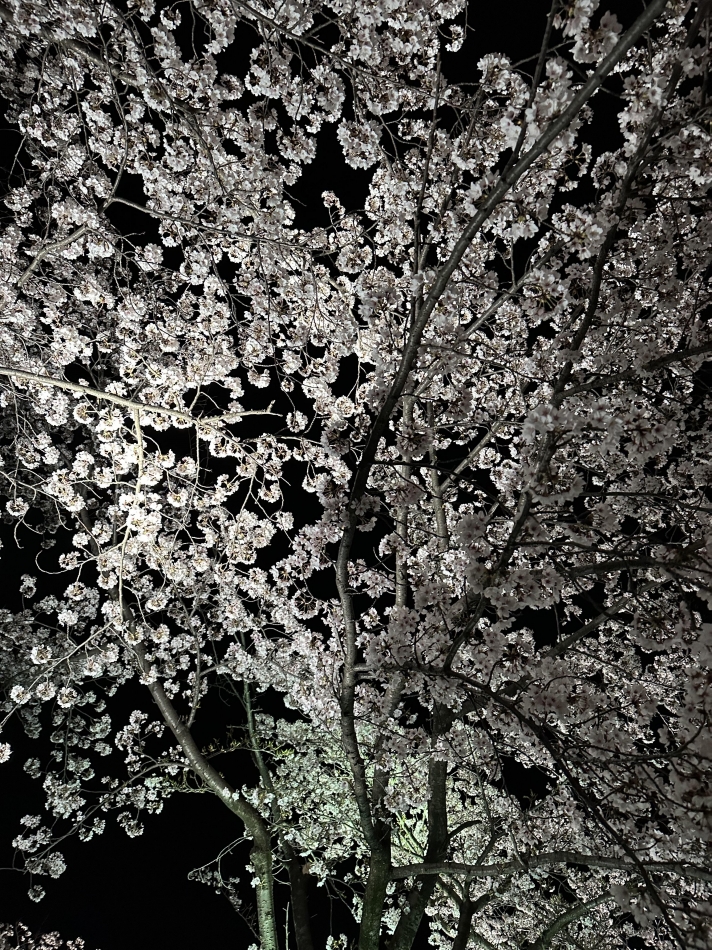 Girls Bar Philia日記1071931