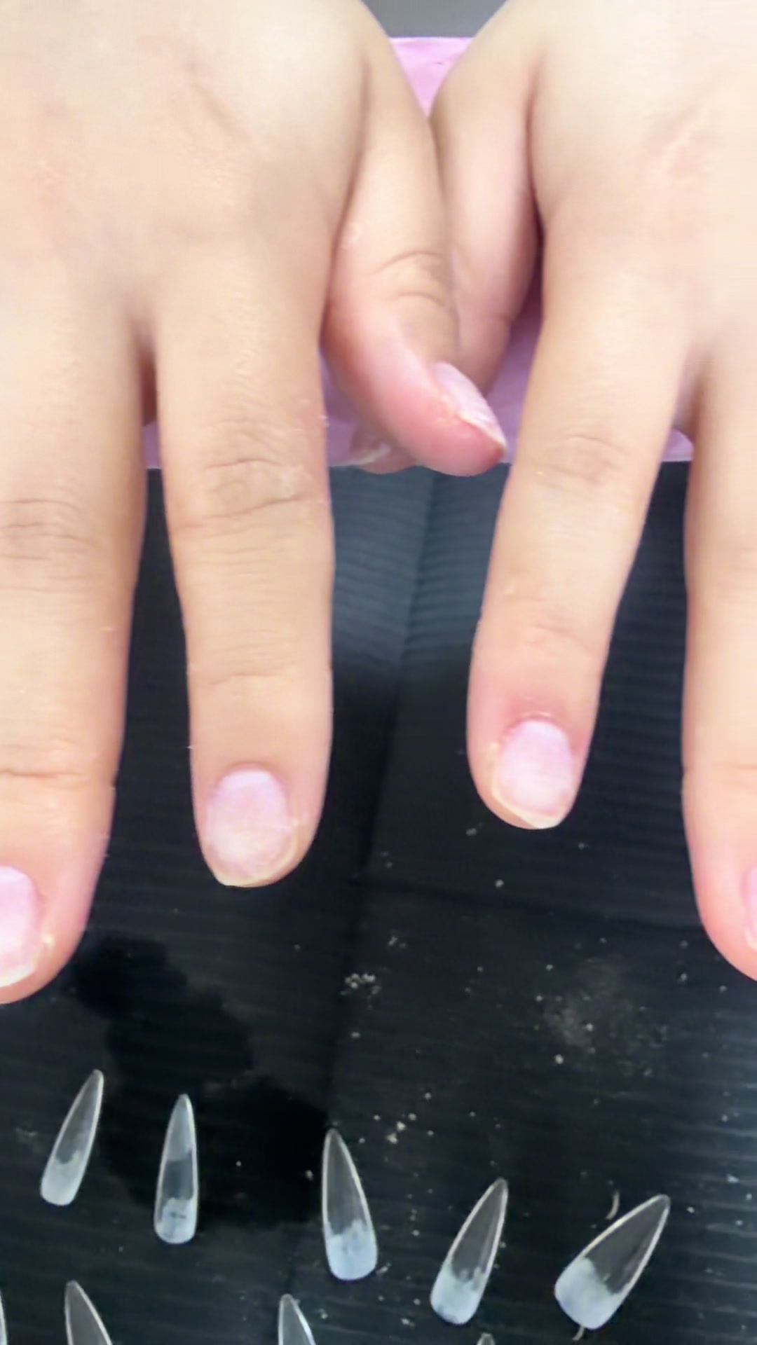 美人百華日記1503181