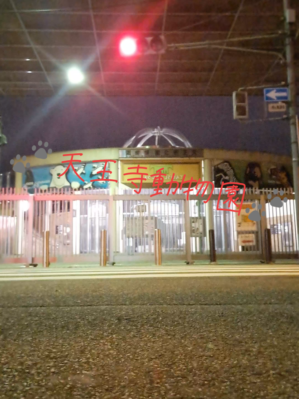 Core ホットニュース 204532