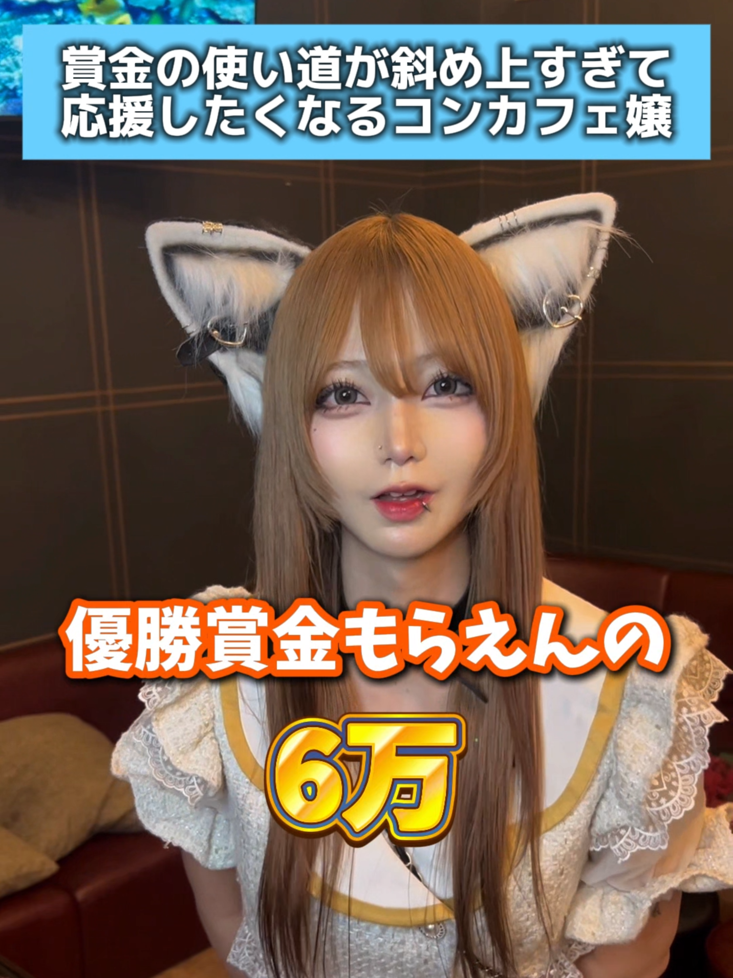 あんど&ねこ ホットニュース 204899