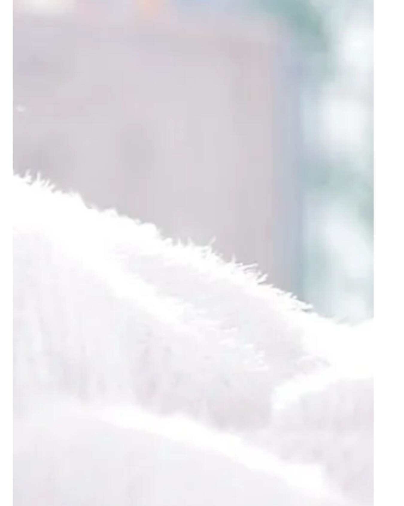 SEASIDE IKEBUKURO ホットニュース 205635