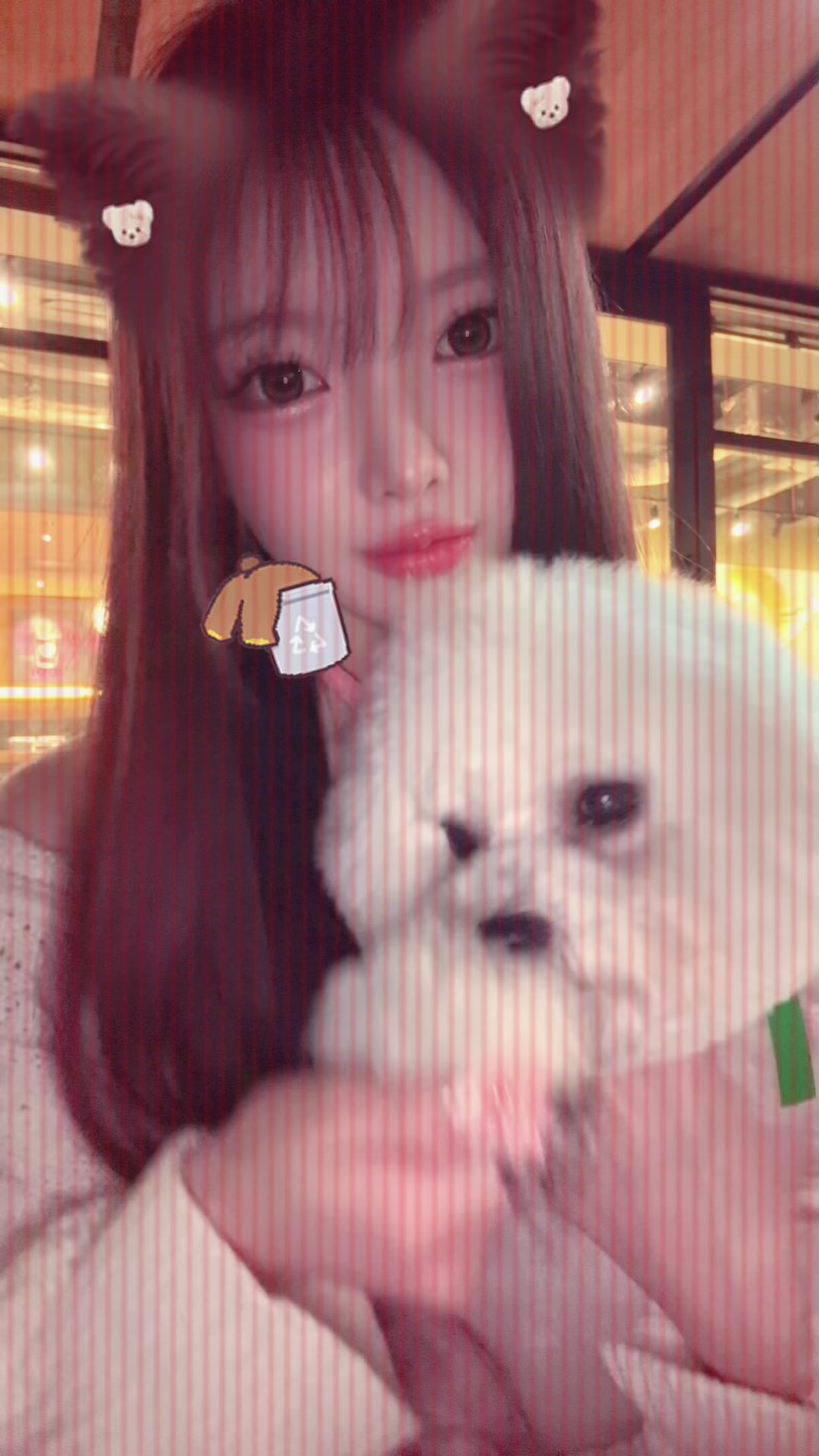 SoloMON日記1517432