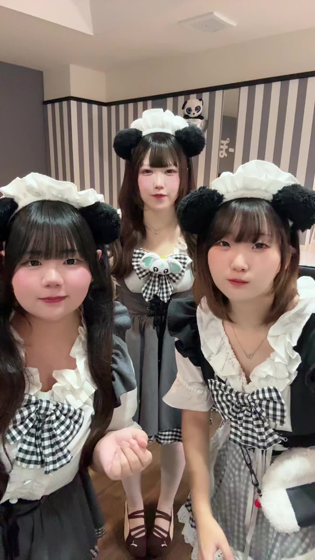 メイドカフェRA ぱんだぱすぽーと ホットニュース 208128