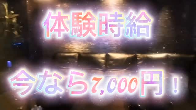 Farao ホットニュース 208571