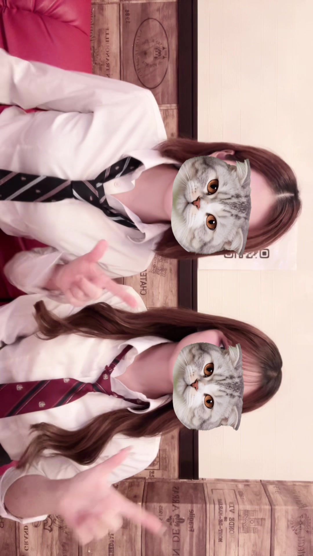 Ciao ホットニュース 208953