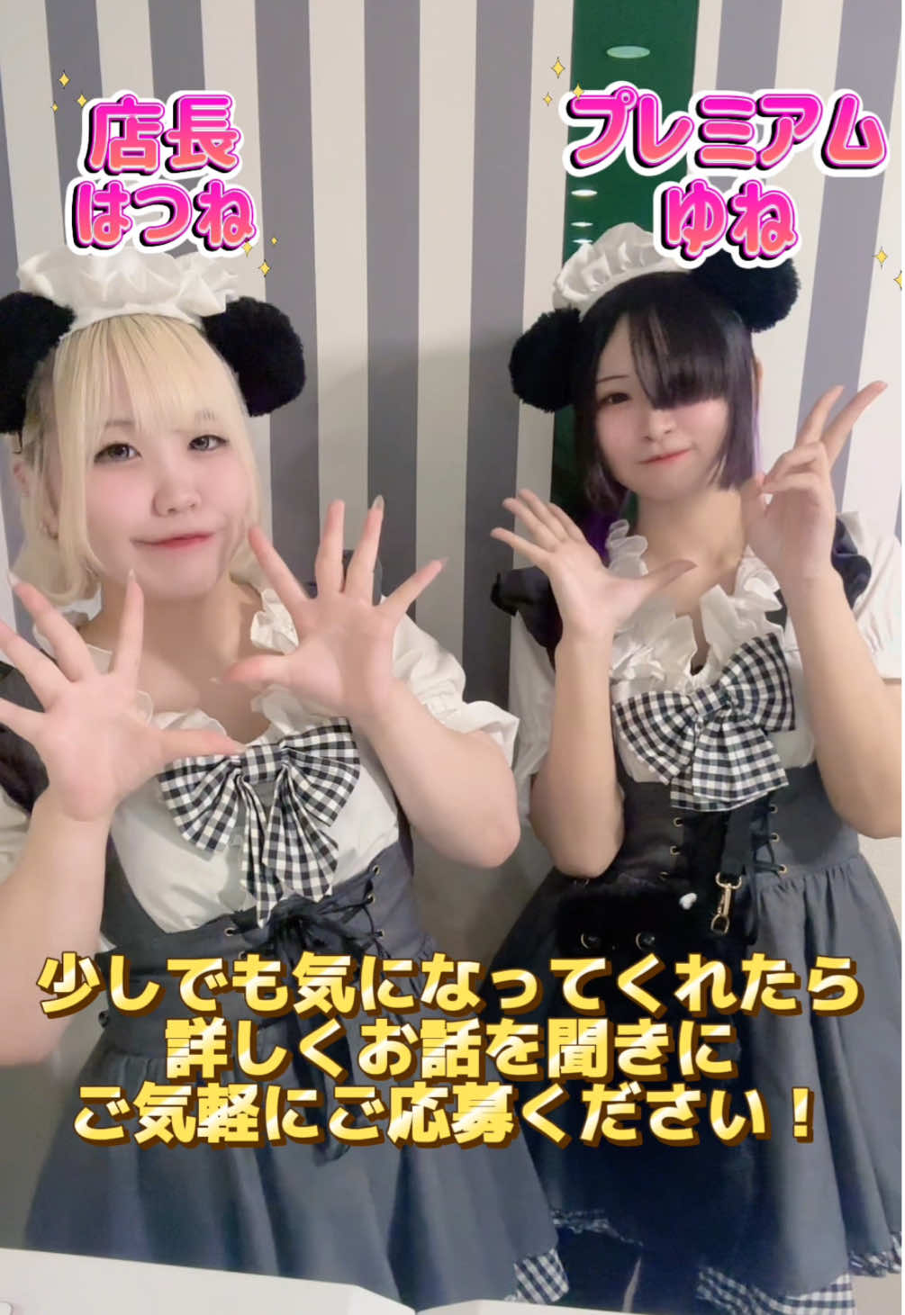 メイドカフェRA ぱんだぱすぽーと ホットニュース 209754