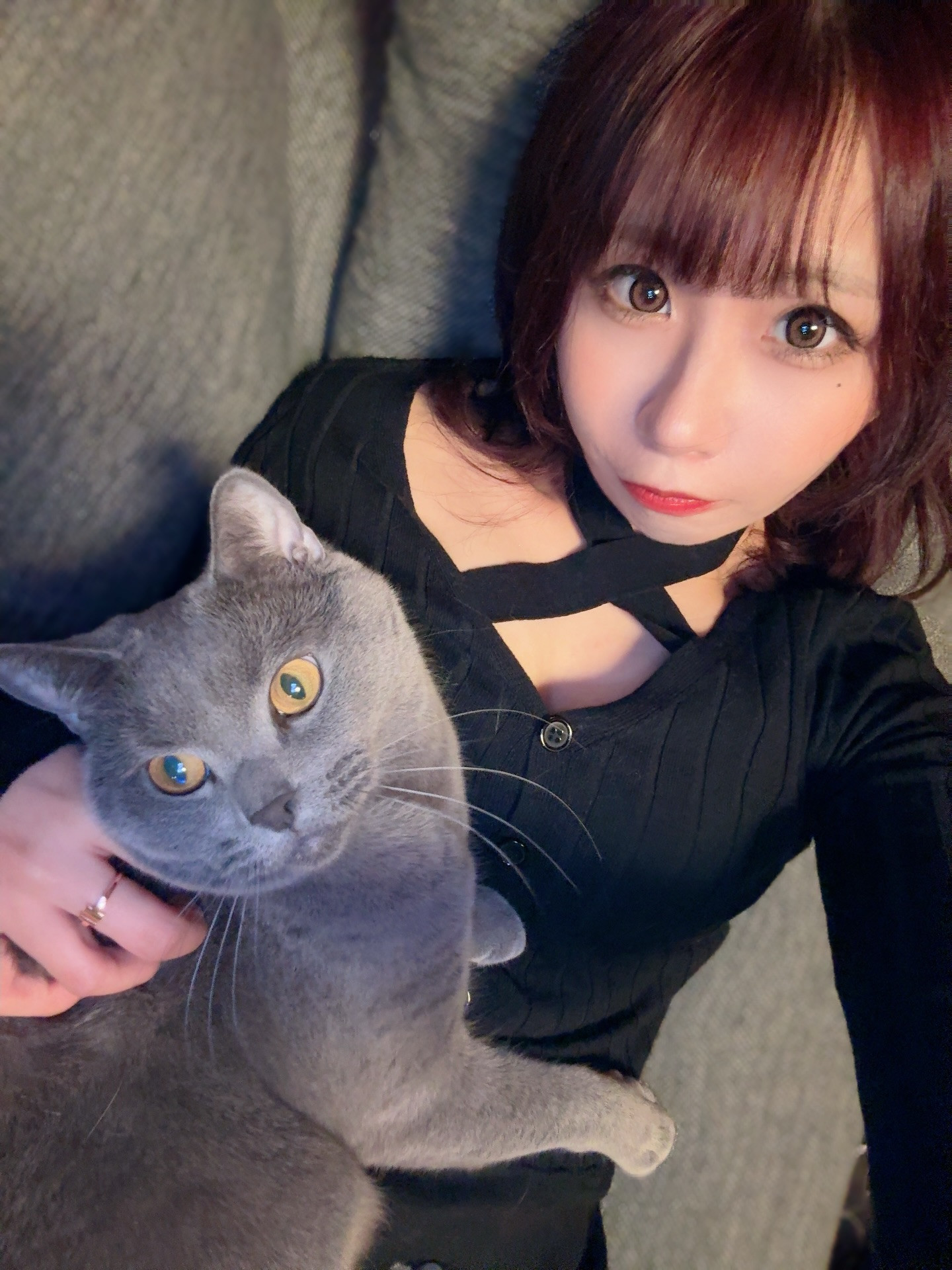 猫で暖を取ってる

ココロもカラダも꜀^. ̫.^꜆

╭━━━━━━━━━━━━━━━━━━━━╮

　北海道ススキノで働いてます🌟

　OVER LOUNGE CLUB
　（オーバーラウンジクラブ）
　📍中央区南６条西４丁目 第21桂和ビル 5F
　
　インスタ指名嬉しいです₍^> ̫ <^₎
　会いたいと思ってくれたらDMください🌟

╰━━━━━━━━━━━━━━━━━━━━╯
#ニュークラ #キャバクラ #ガールズバー  #コンカフェ #ニュークラ嬢 #キャバ嬢 #ホステス #キャバキャバ 