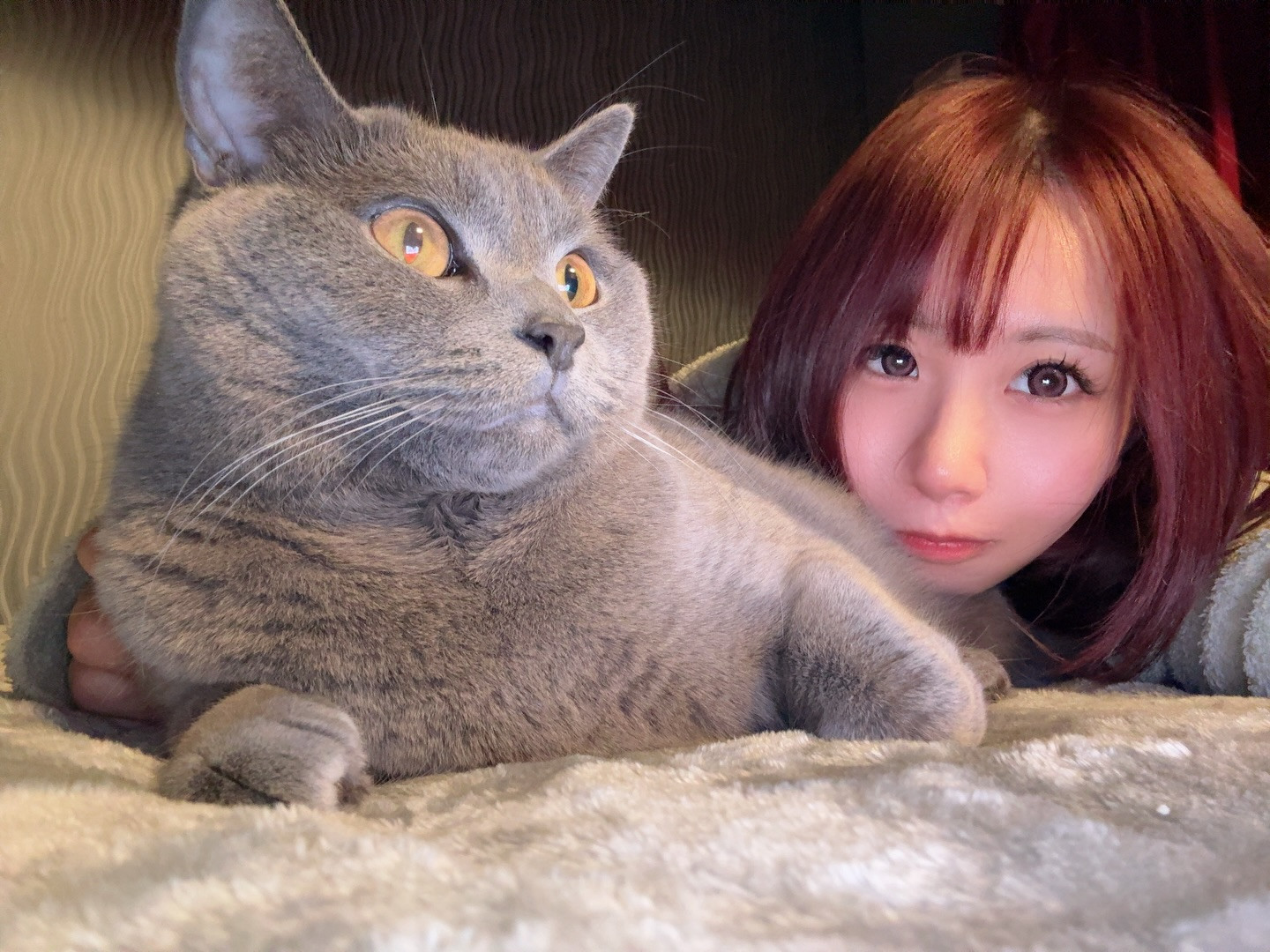 雪ニモ負ケズ二日酔イニモ負ケズ

╭━━━━━━━━━━━━━━━━━━━━╮

　北海道ススキノで働いてます🌟

　OVER LOUNGE CLUB
　（オーバーラウンジクラブ）
　📍中央区南６条西４丁目 第21桂和ビル 5F
　
　インスタ指名嬉しいです₍^> ̫ <^₎
　会いたいと思ってくれたらDMください🌟

╰━━━━━━━━━━━━━━━━━━━━╯
#ニュークラ #キャバクラ #ガールズバー  #コンカフェ #ニュークラ嬢 #キャバ嬢 #ホステス #キャバキャバ #きゃばきゃば #ポ