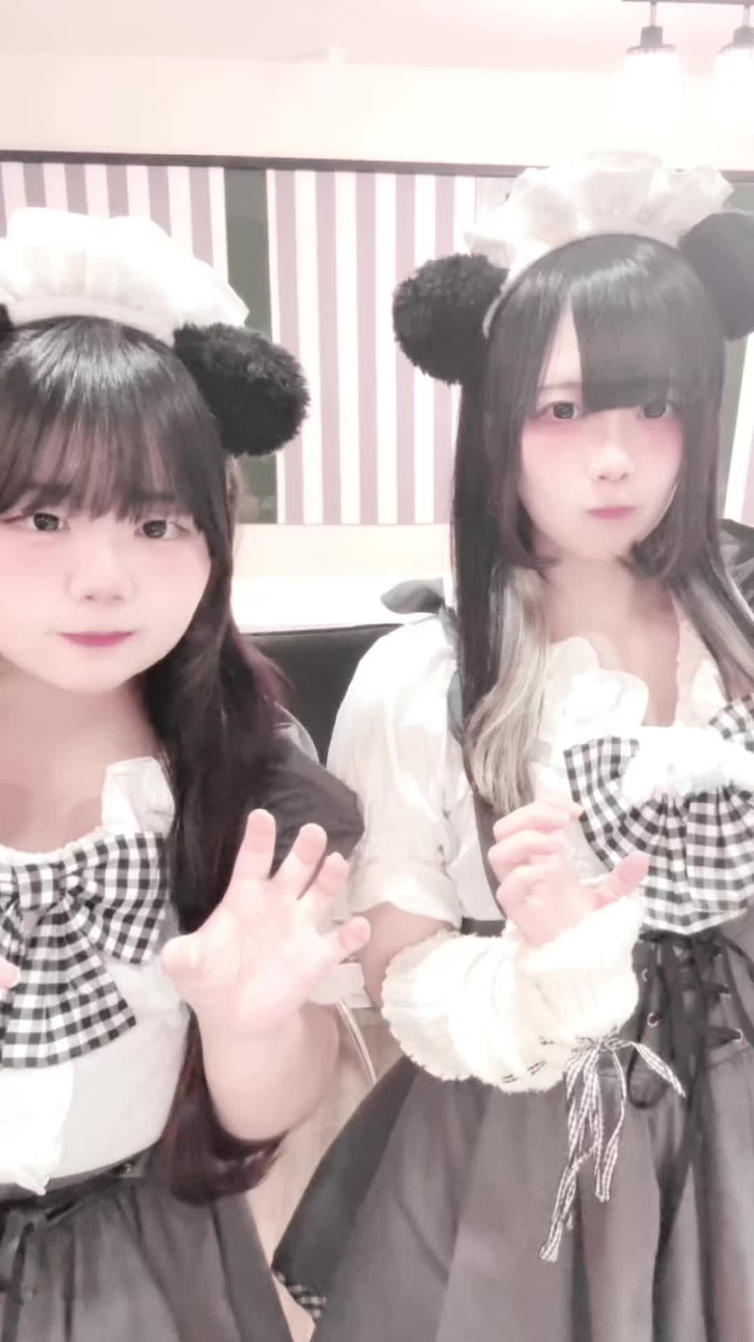 メイドカフェRA ぱんだぱすぽーと ホットニュース 211010