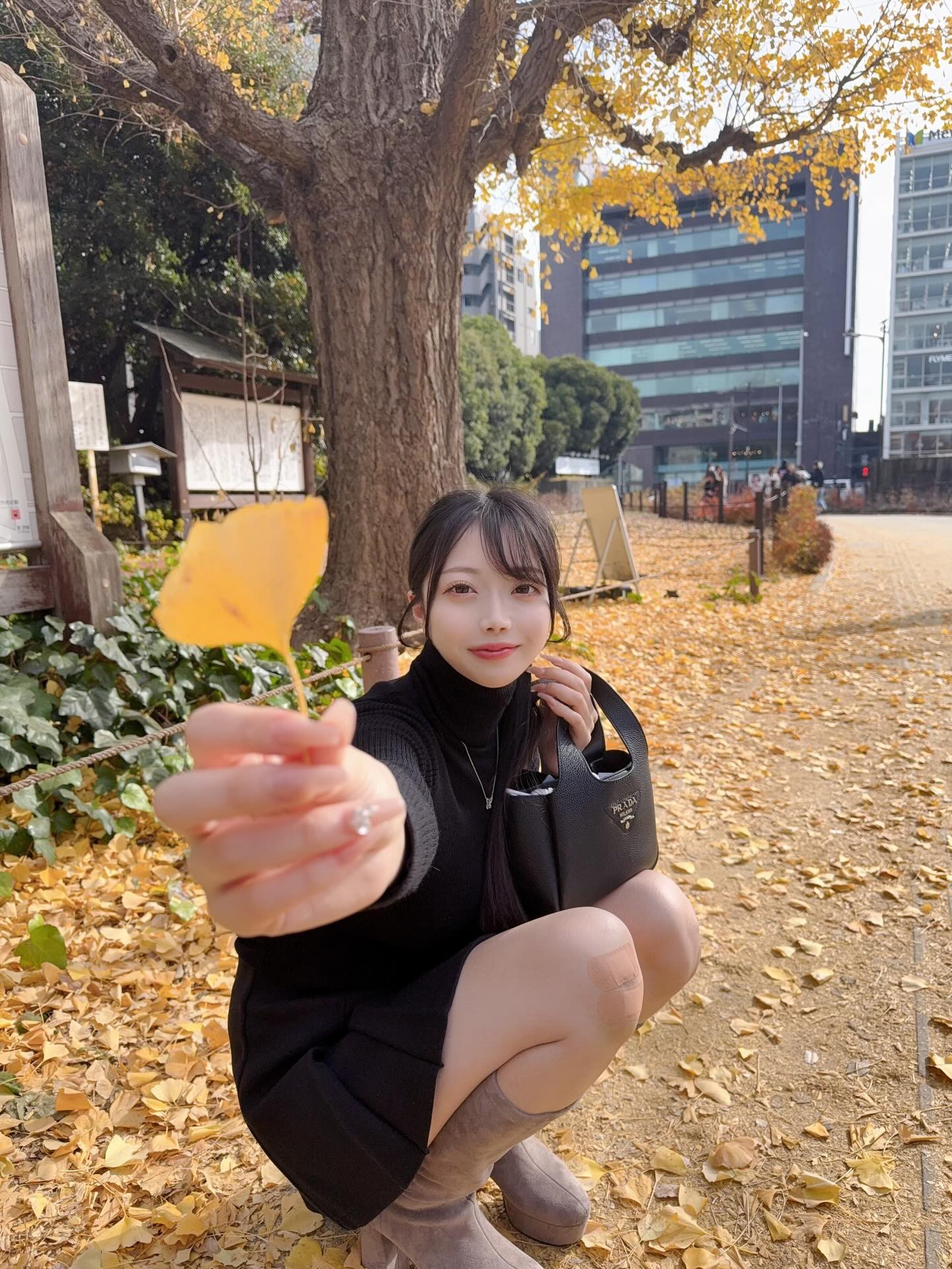 銀杏並木行くの遅かったみたい🪾（笑）
膝はご愛嬌♡*:.｡. o(≧▽≦)o .｡.:*♡
