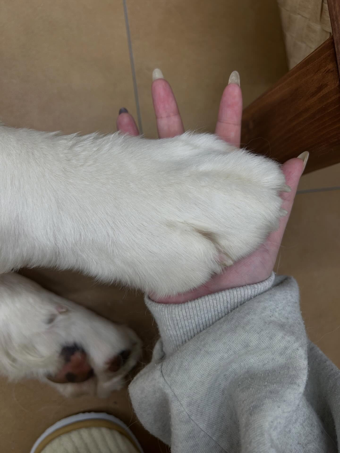 Lounge LULA日記1548546