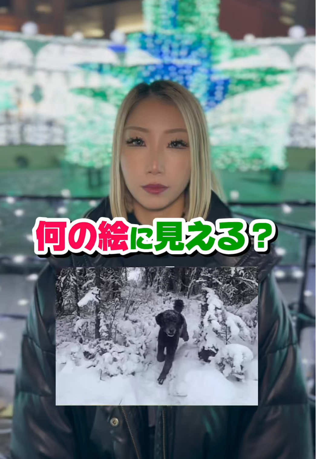 Cafe＆Bar Kitty ホットニュース 211948