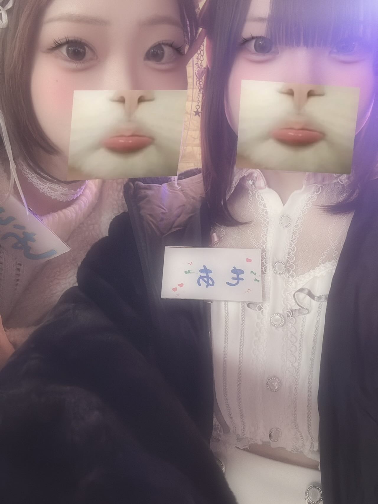 ARCHE CASTLE ホットニュース 212052