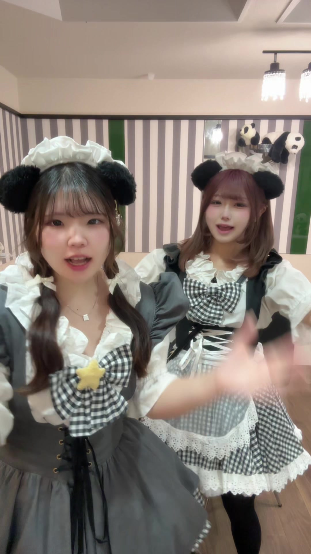 メイドカフェRA ぱんだぱすぽーと ホットニュース 212141