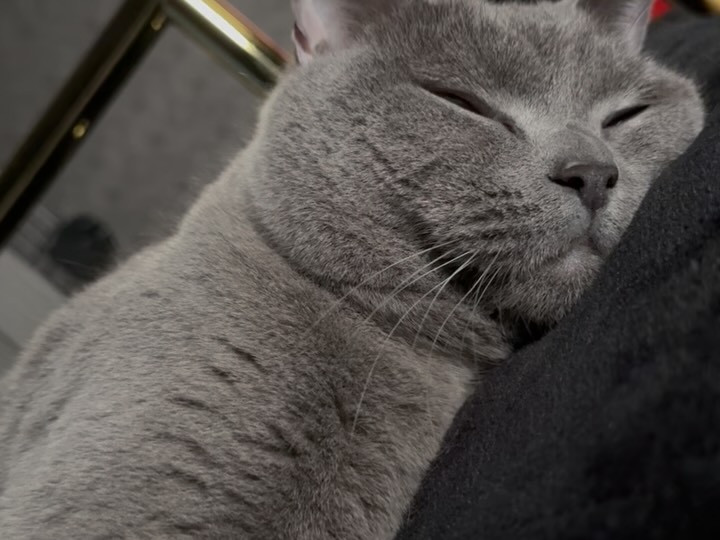 OVER LOUNGE CLUB日記1561337