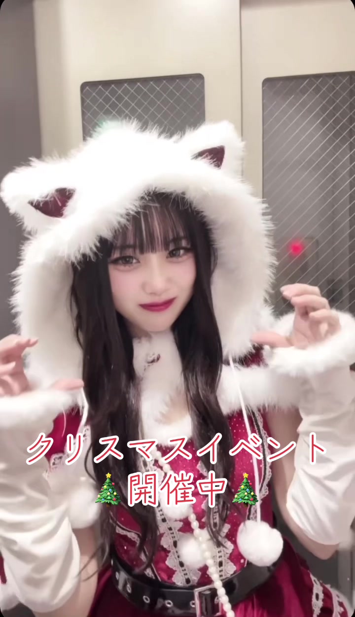 Cafe＆Bar Doll's Cafe ホットニュース 214245