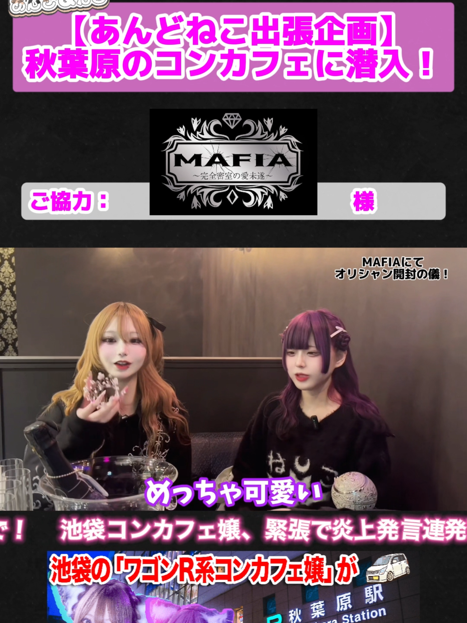 あんど&ねこ ホットニュース 214704