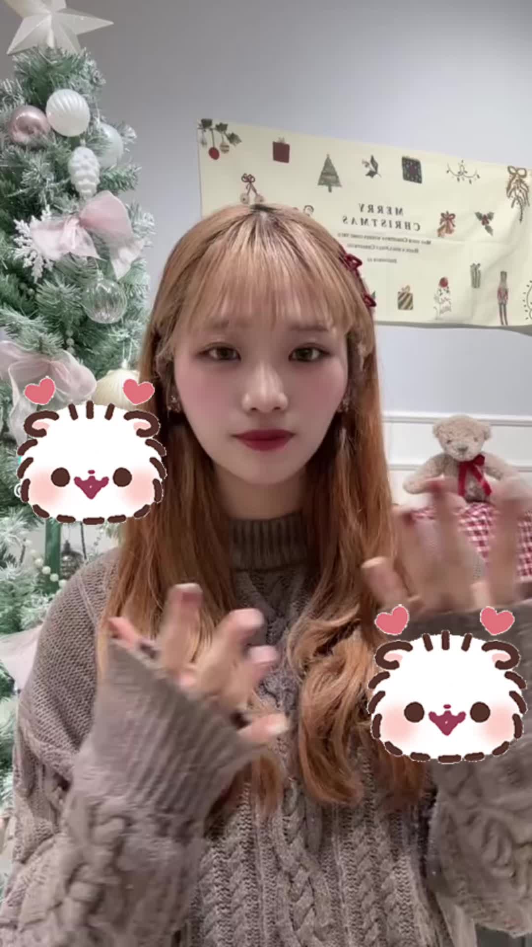 くろ×スト～黒猫とシンデレラストーリー～ ホットニュース 214713