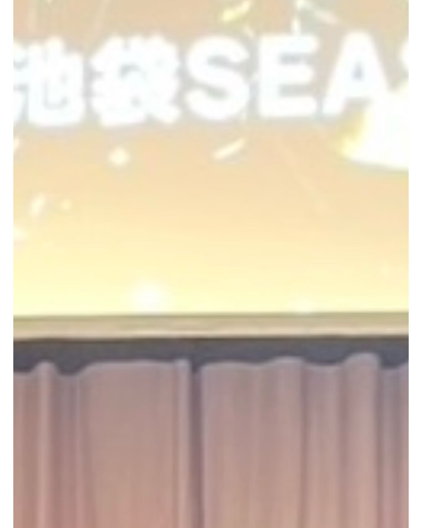 SEASIDE IKEBUKURO ホットニュース 217030