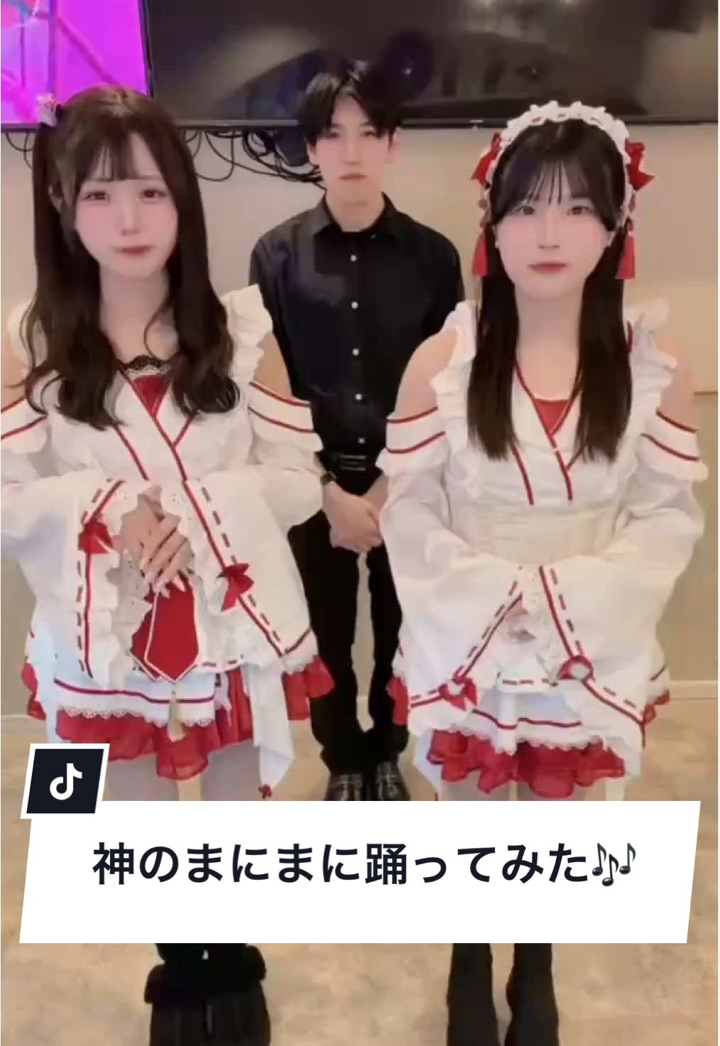 TiaRabbit ホットニュース 217194