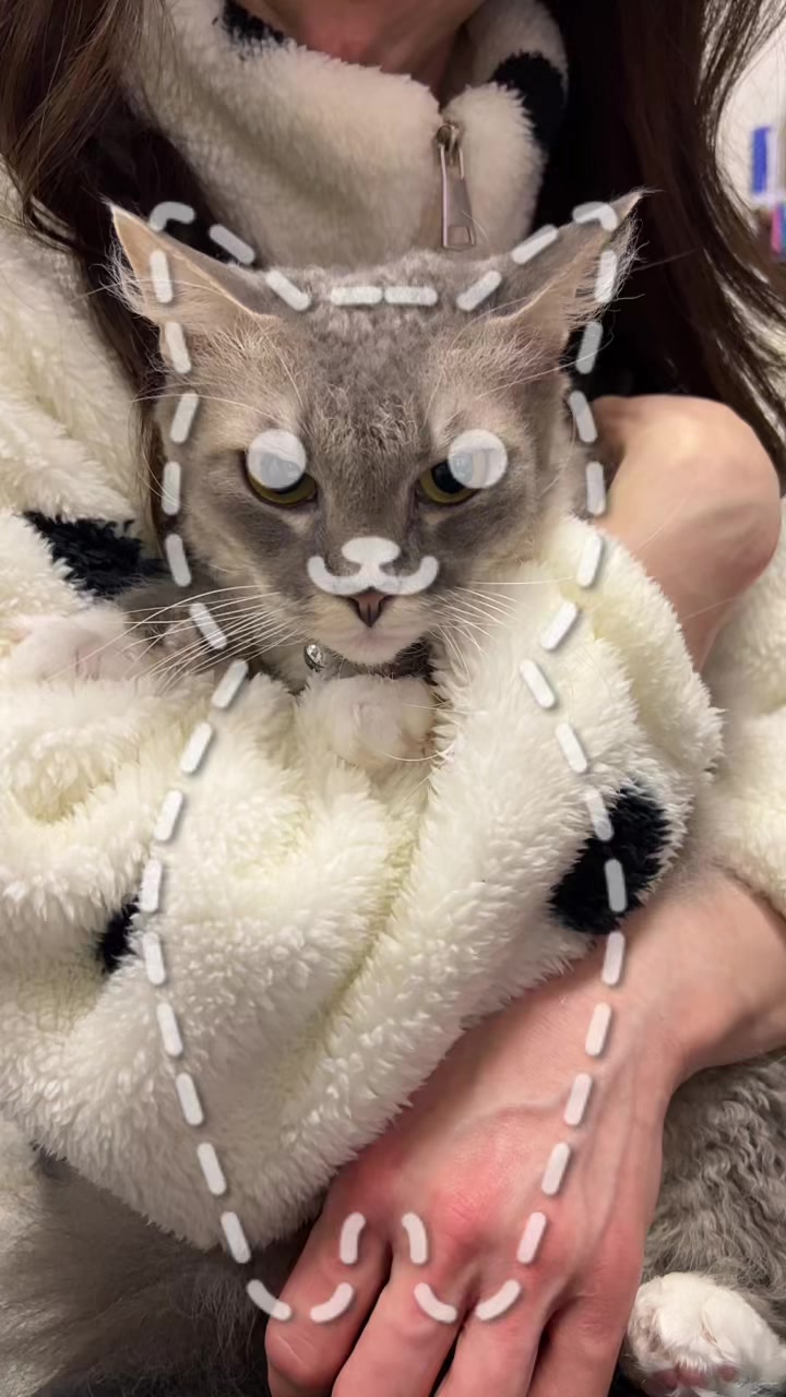 Vanilla日記1580185