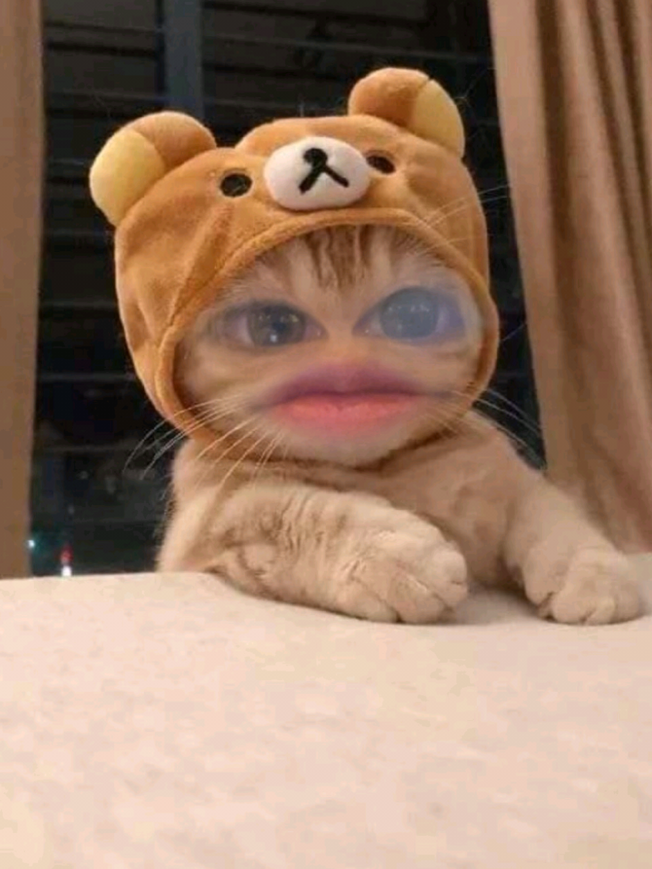 ある夜、ビルの片隅で日記1580391