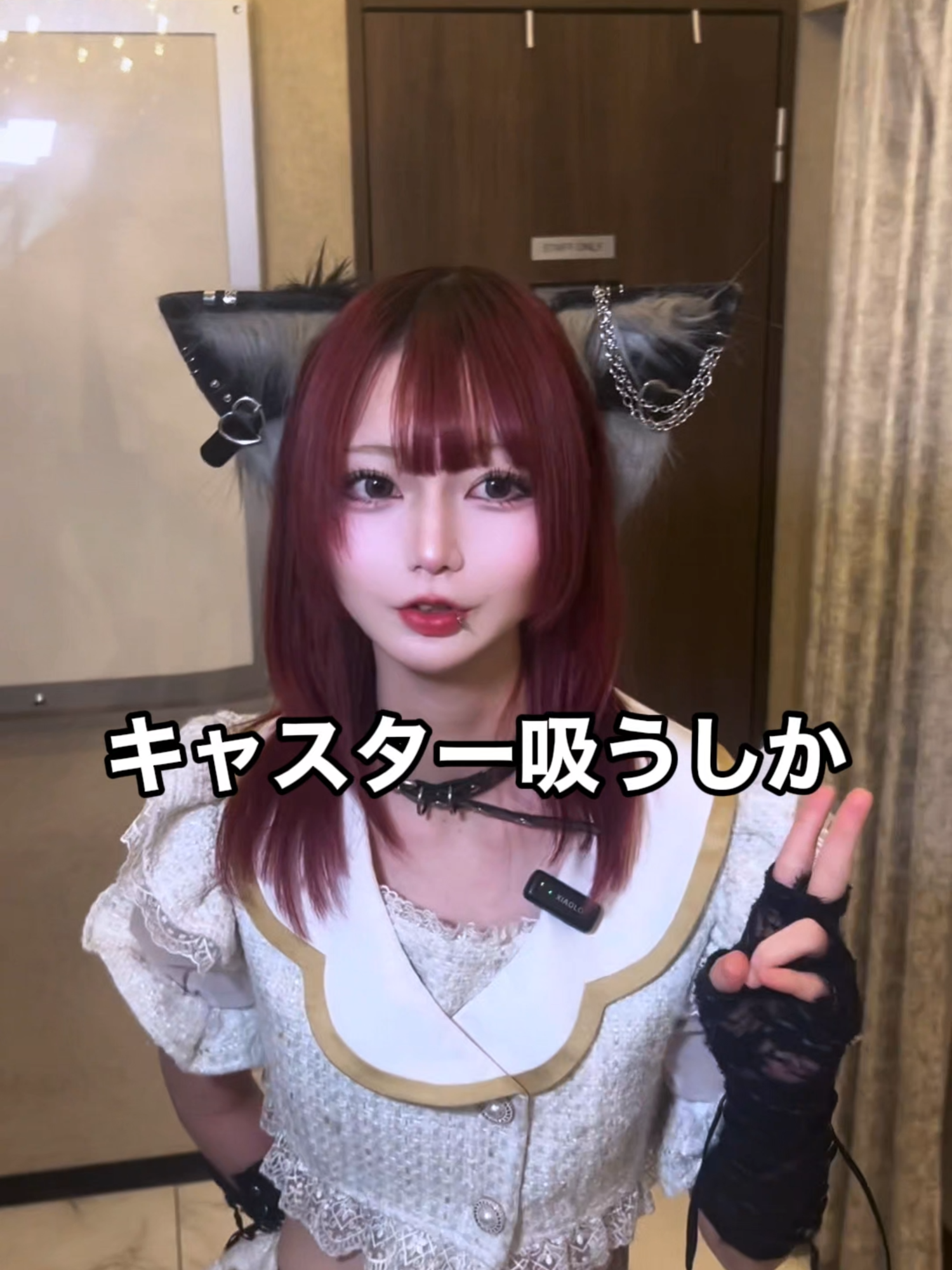 あんど&ねこ ホットニュース 219327