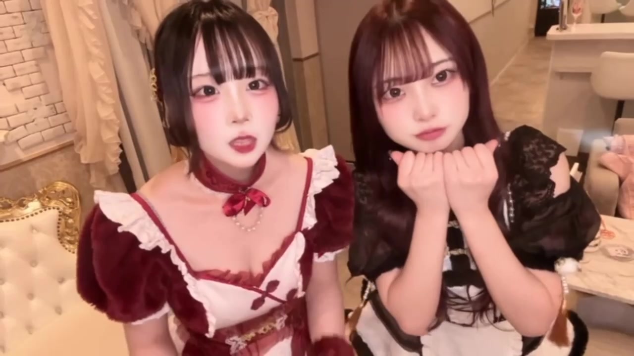 TiaRabbit ホットニュース 219334